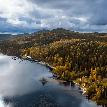 Kolin Aamuranta *