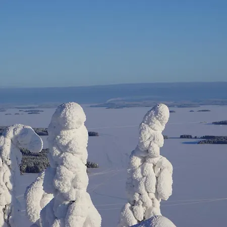 Kolin Aamuranta * Koli (Lieksa)