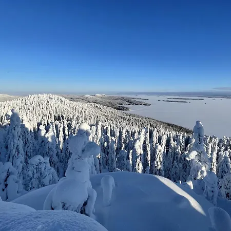 Huvilat Kolin Aamuranta *