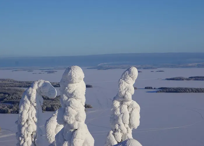 Kolin Aamuranta * Kolinkylä