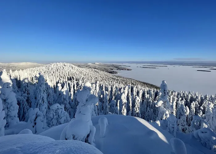 Villa Kolin Aamuranta *